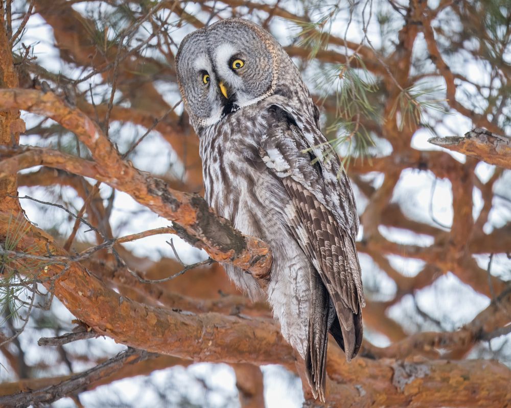 Photograph by Екатерина Дубровская