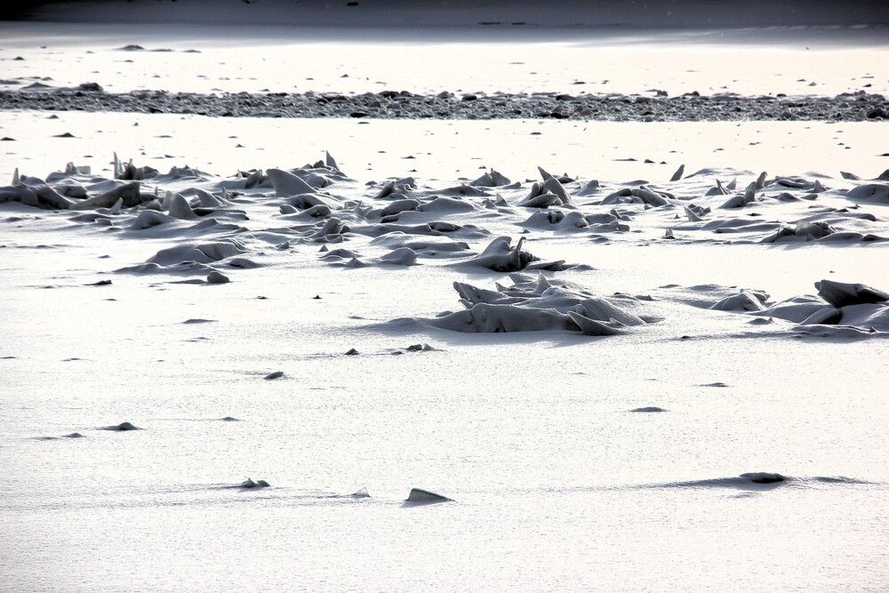 Photograph by Nikita Zorin