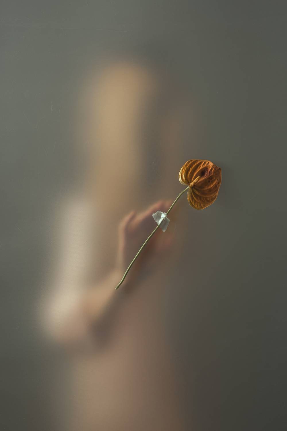 еле уловимая еле уловимая