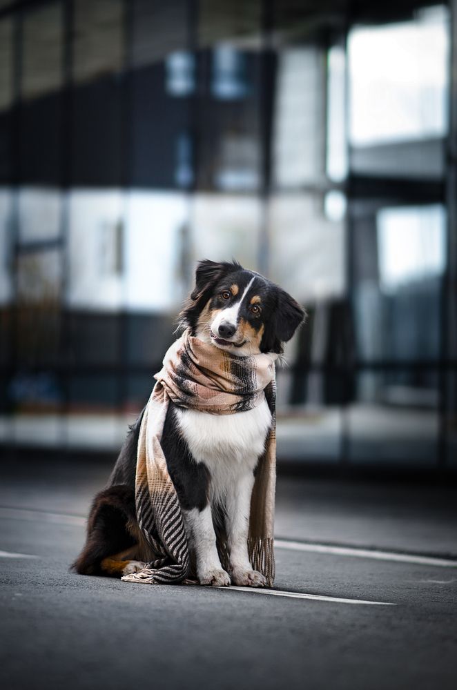 Photograph by Kira Demina