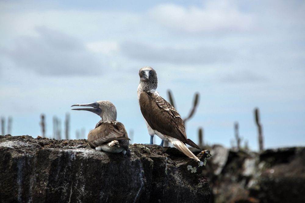 Photograph by Александр Журавлев