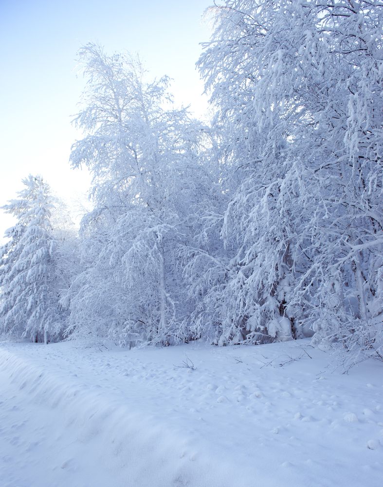 Photograph by Белова Алла