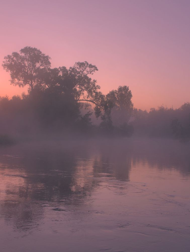 Photograph by Николай Потапов