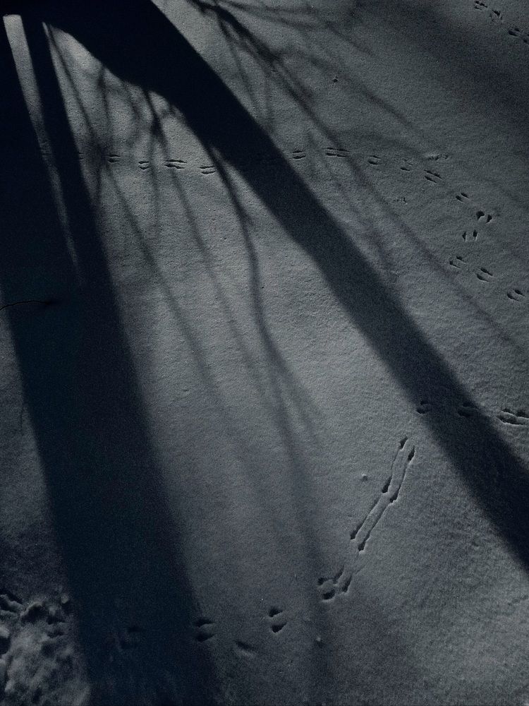 Photograph by Светлана Яковлева