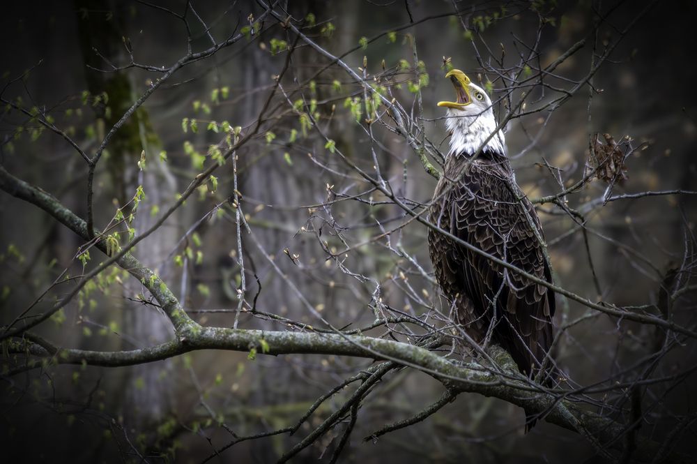 Photograph by Mitchell Brown