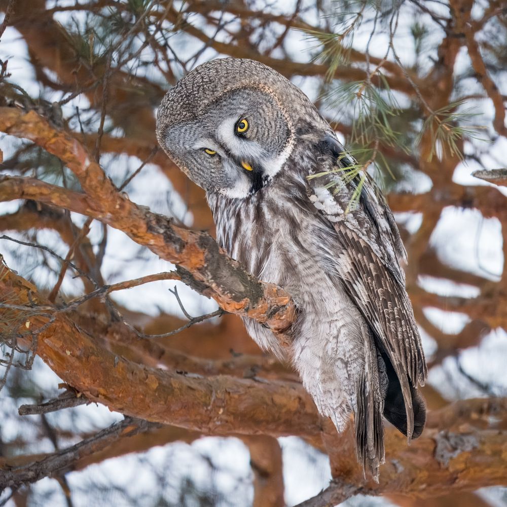 Photograph by Екатерина Дубровская