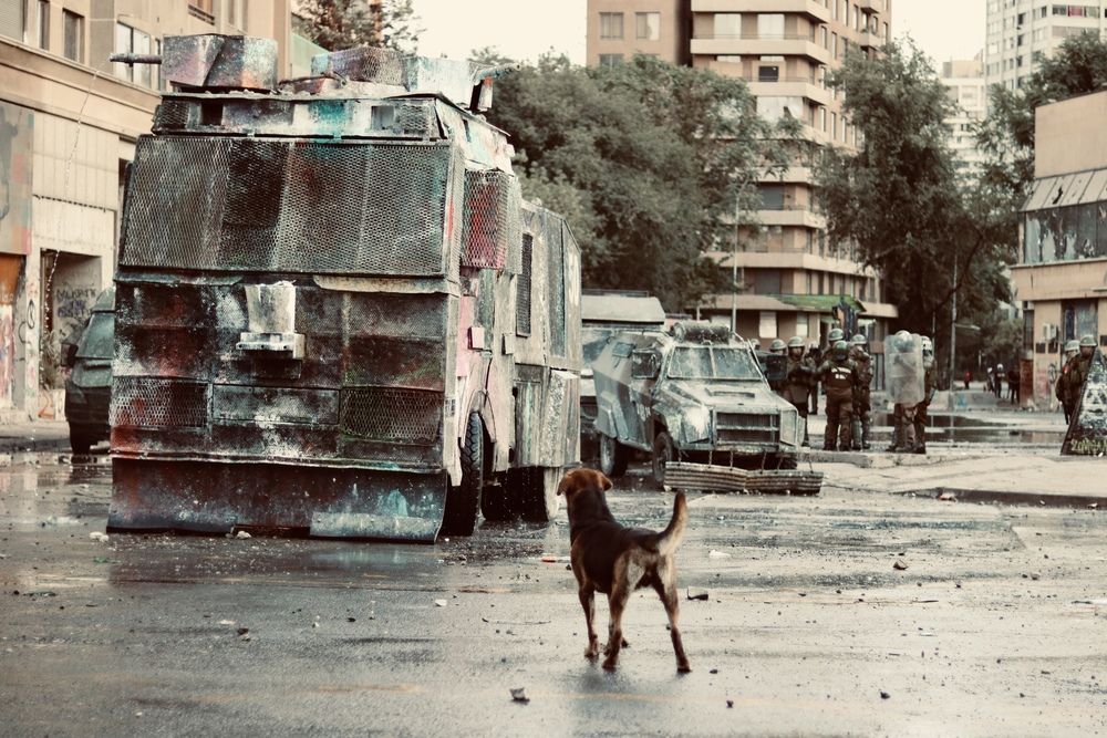 Photograph by Luis Lobos Robles