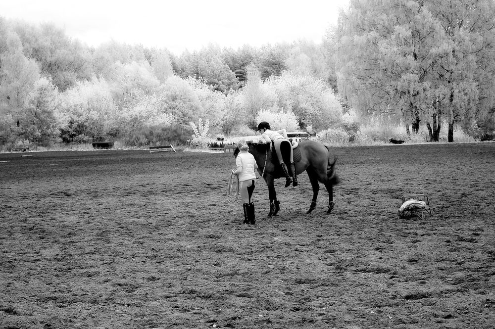 Photograph by Сергей Кузнецов
