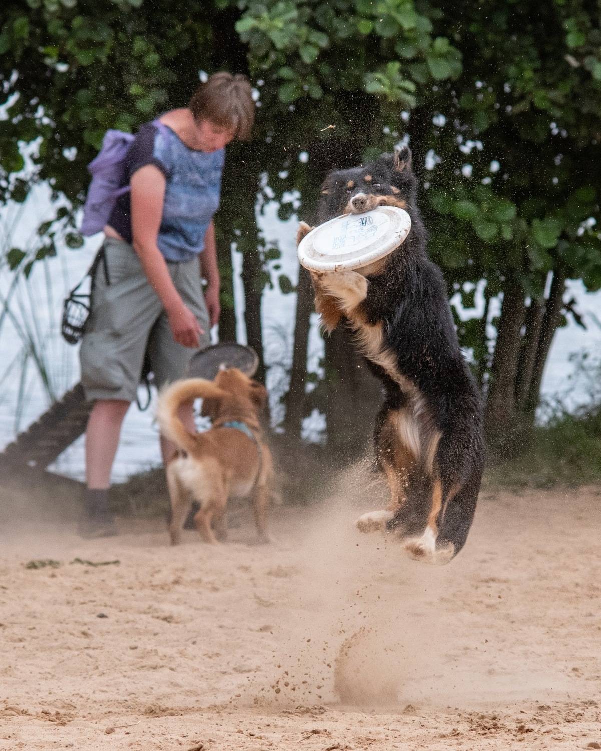 Фотография #13249302