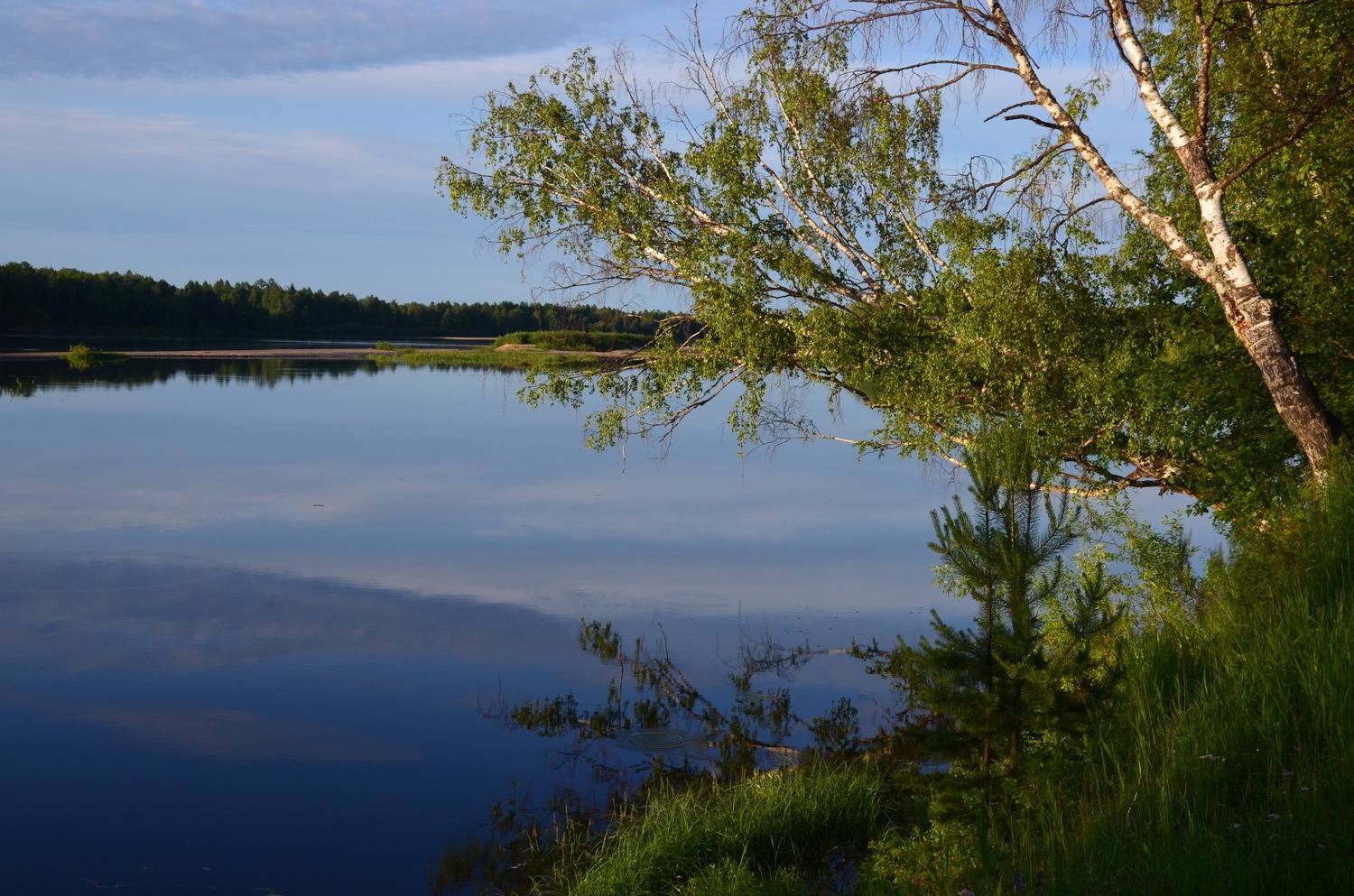 Фотография #13249521