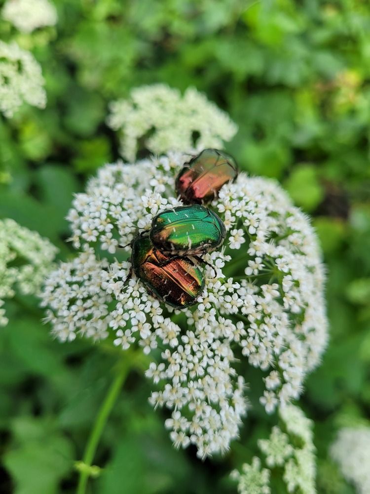 Photograph by natalisina