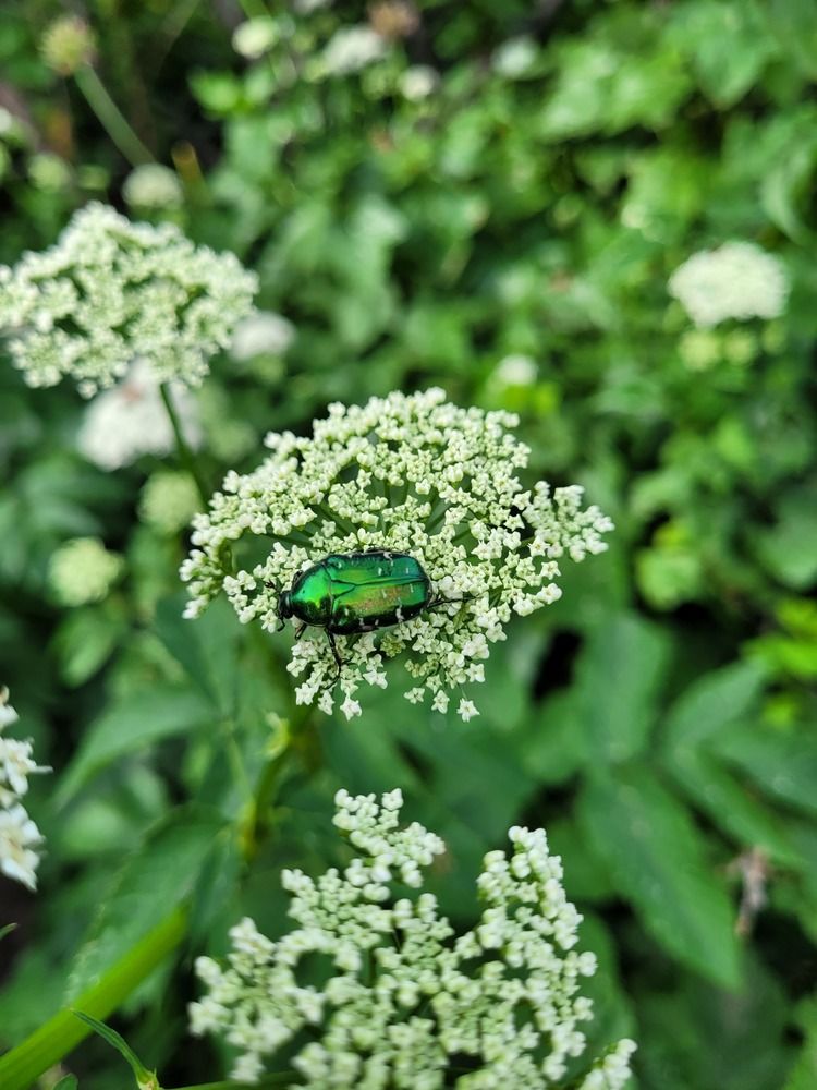 Photograph by natalisina