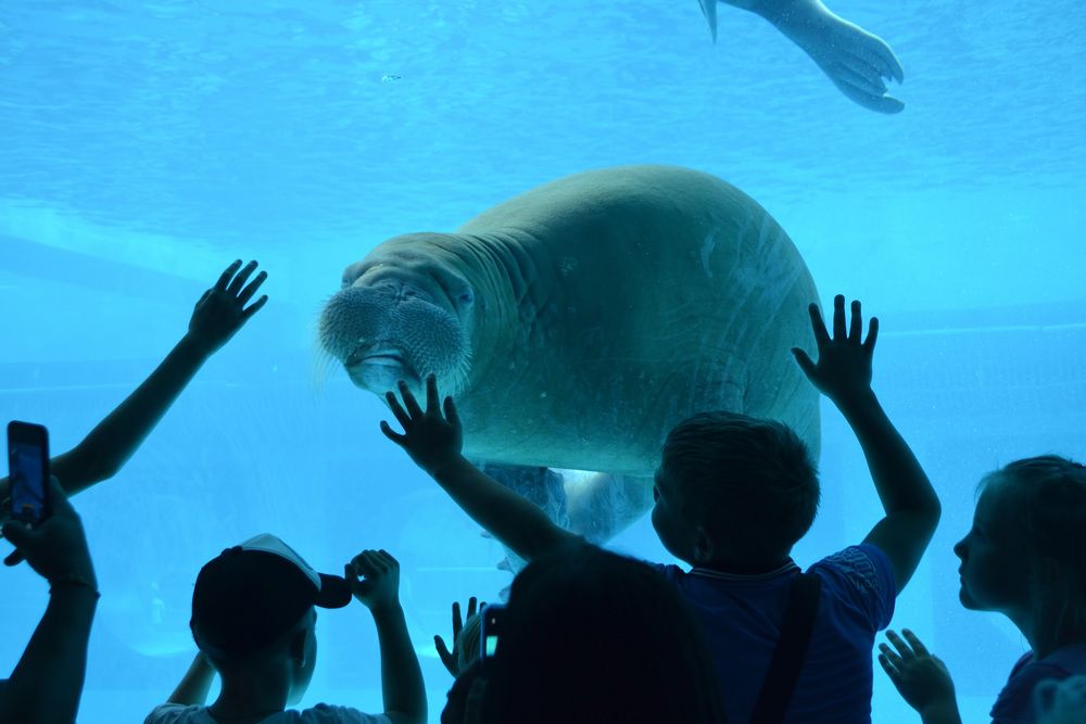 Photograph by Алексей