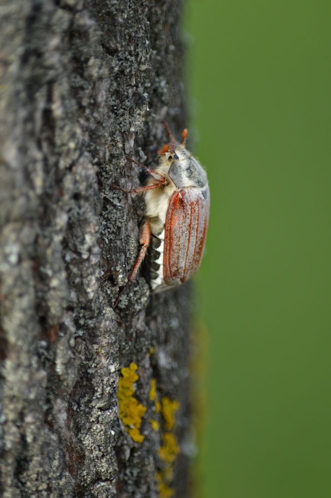 Photograph by Анна Зорька