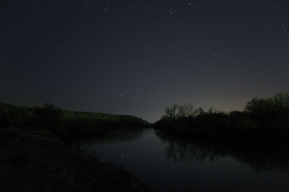 Photo #13249666