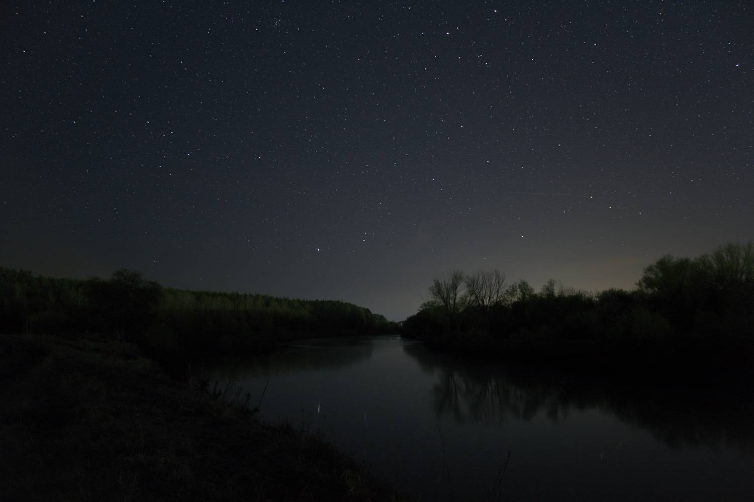 Photo #13249666
