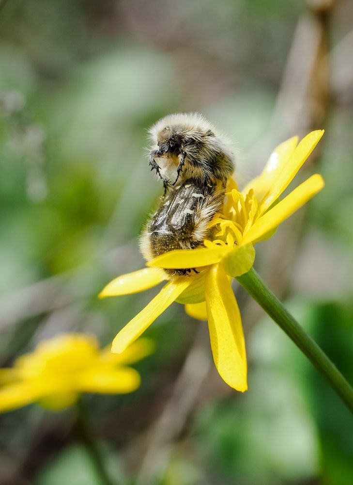 Photograph by Светлана Шибаршина