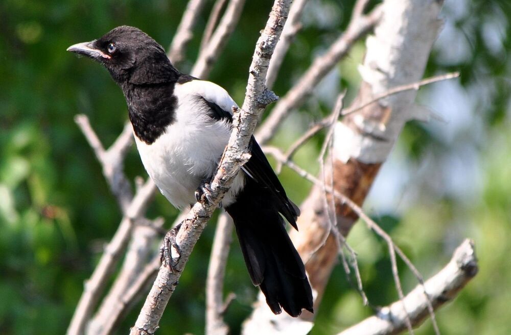 Photograph by Кирилл Верба