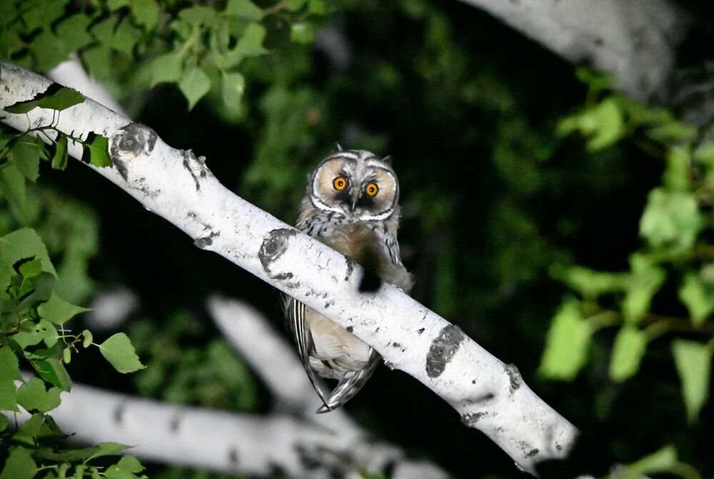 Photograph by Кирилл Верба