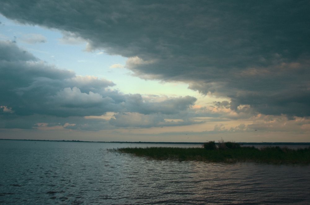 Photo #13249812