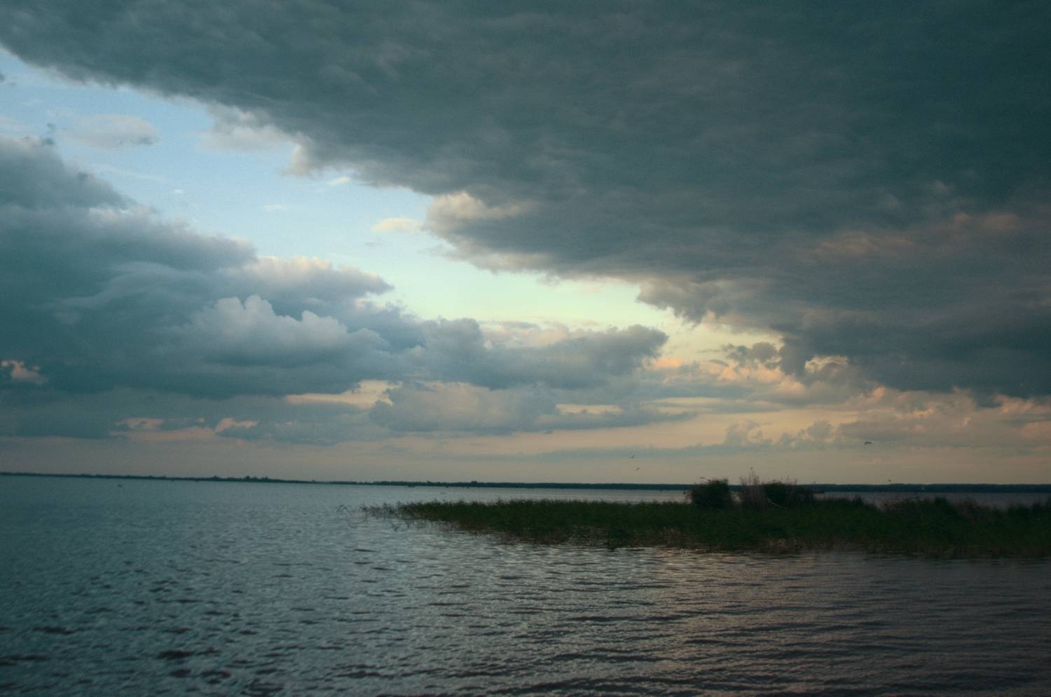 Photo #13249812