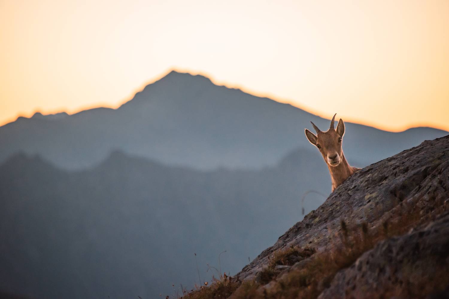 Фотография #13249869