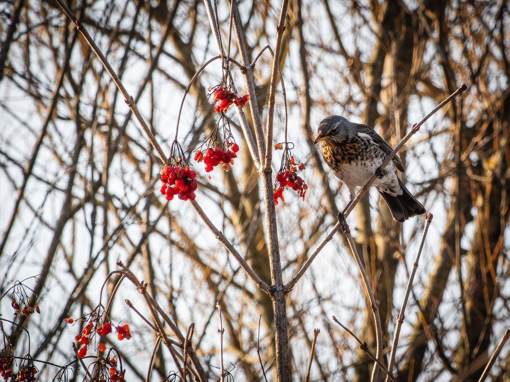 Photograph by Татаринов Валерий