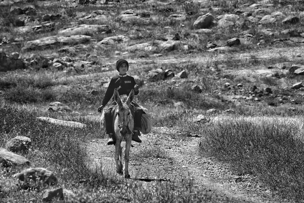 Фотография автора Vladimir liametz