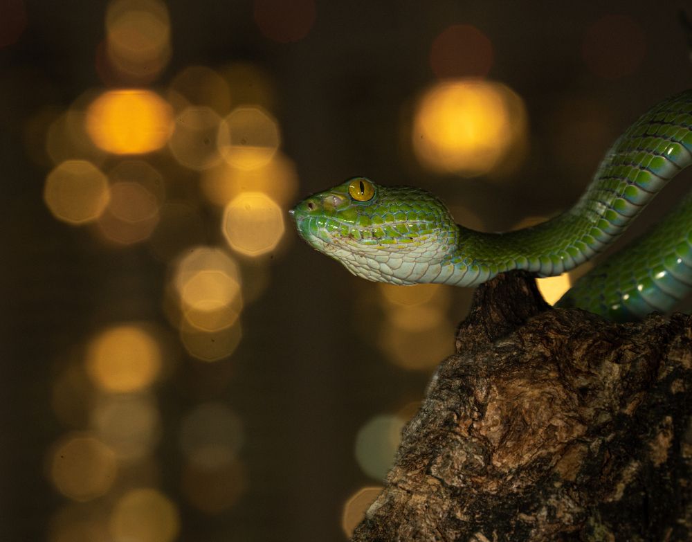 Photograph by Владимир Цветов