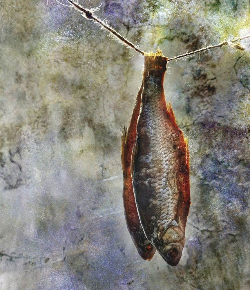 Photograph by Ирина Курмалеева