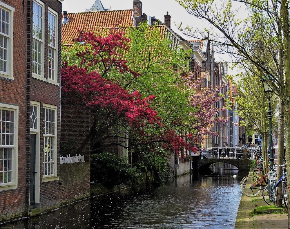 Делфт (Нидерланды)