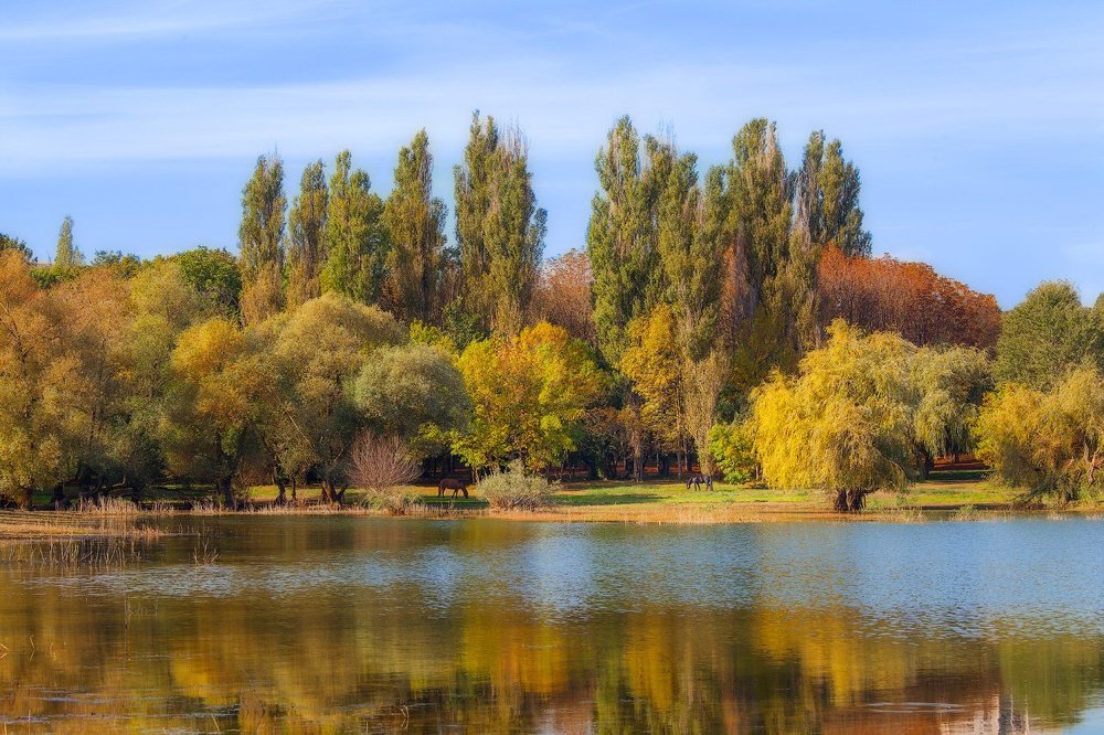 Осенний крымский пейзаж и конь