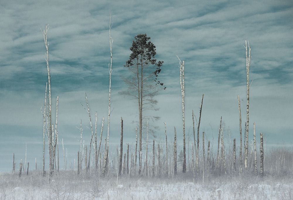 Ритм на плоскости