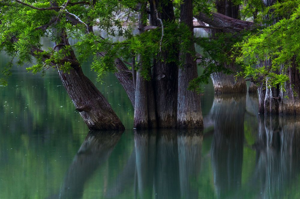 Стражи озера Сукко