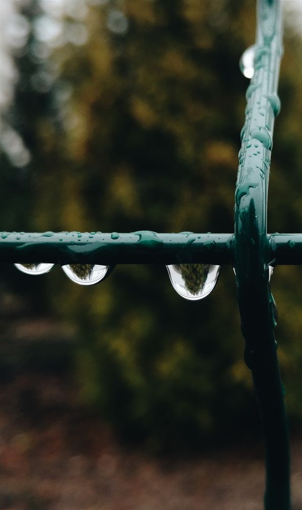 Прелесть дождя.