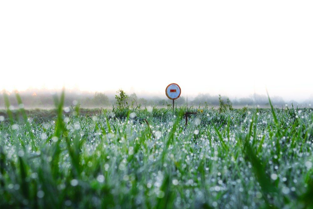 кирпич в поле