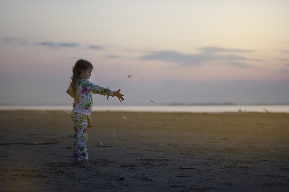 Бабочки в небо