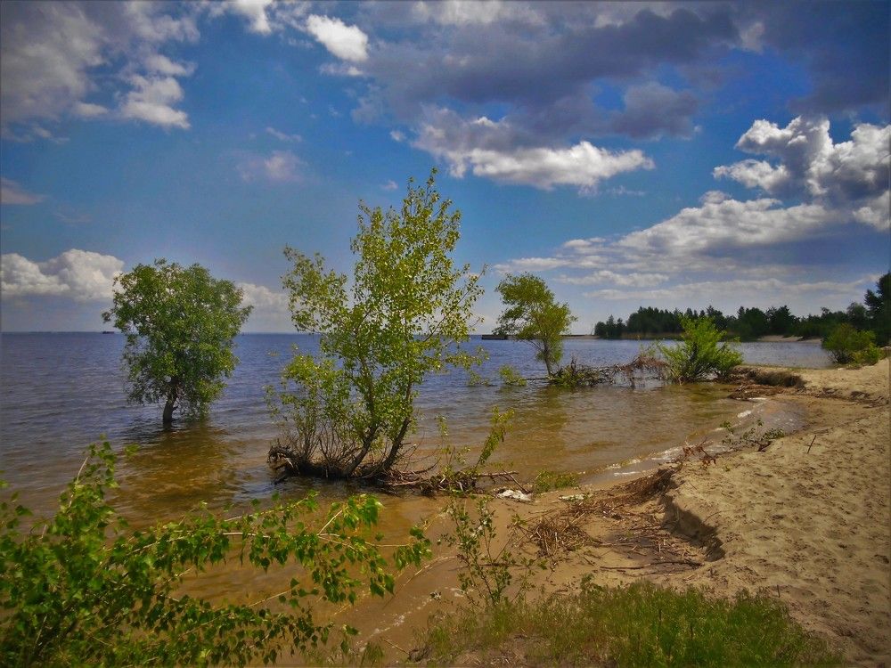 Берег отступает.