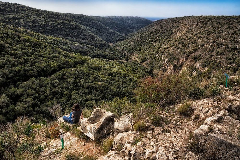 Точка зрения