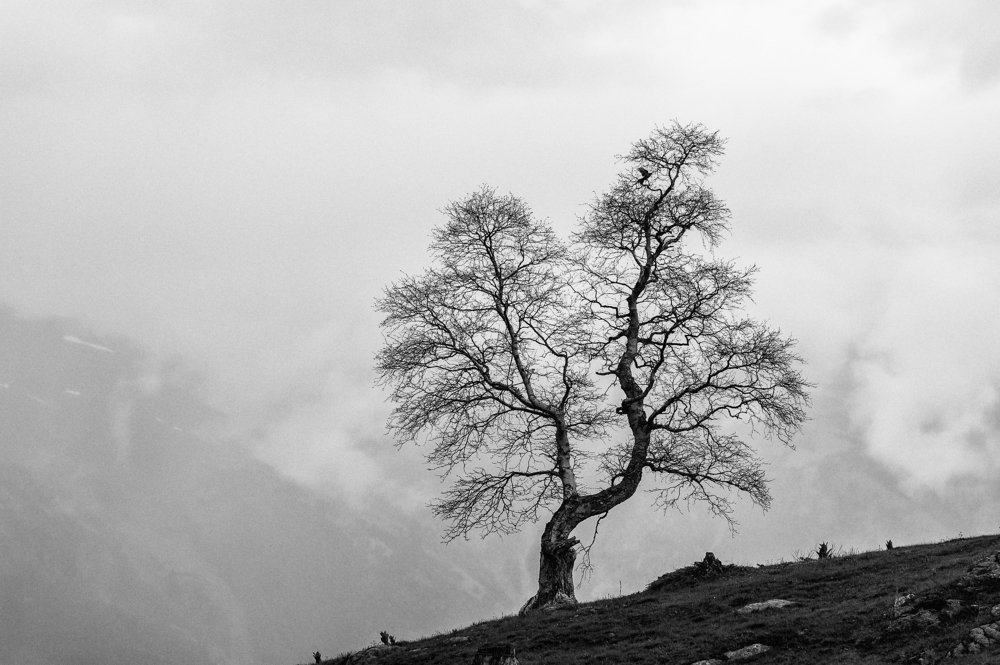 Photograph by Кирилл