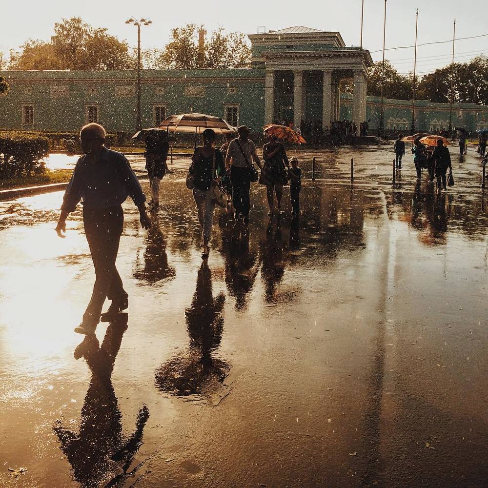 Магия летнего дождя.