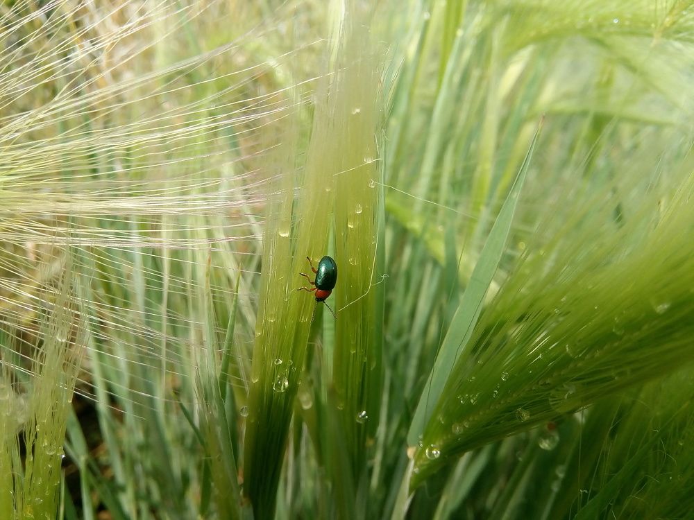 Photograph by Тимошкина Валентина