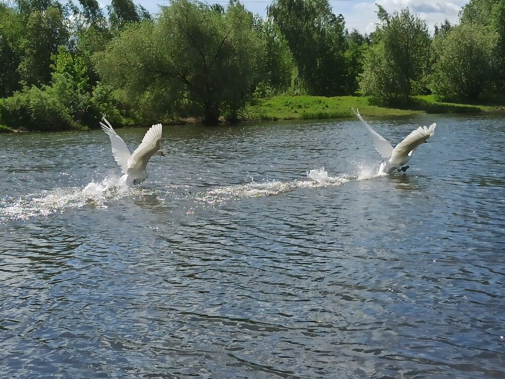 Photograph by Алена