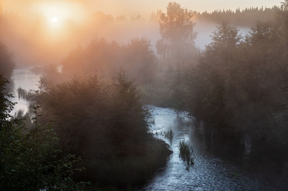 Photograph by Алексей Турчин