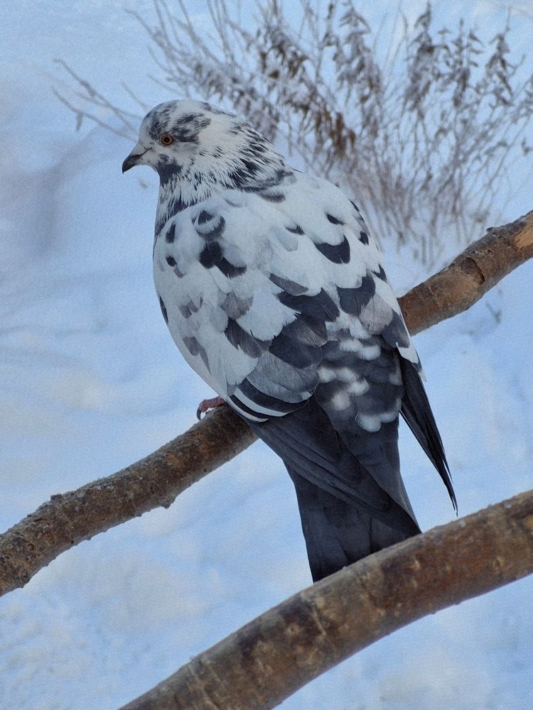 Photograph by Валентина Кузьменко