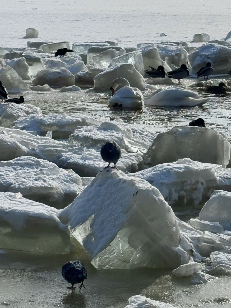 Photograph by Светлана Герасимук