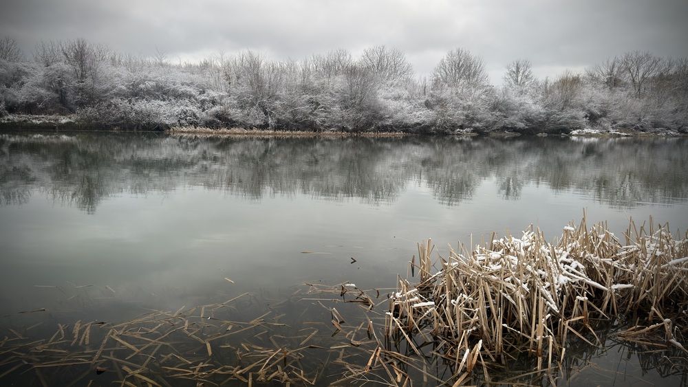 Photograph by Deyan Borisov