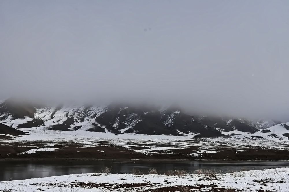 Photograph by Наталья Баранова