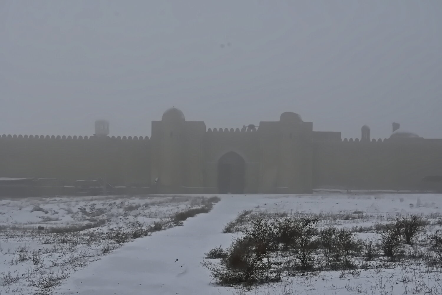 Photo #13250091
