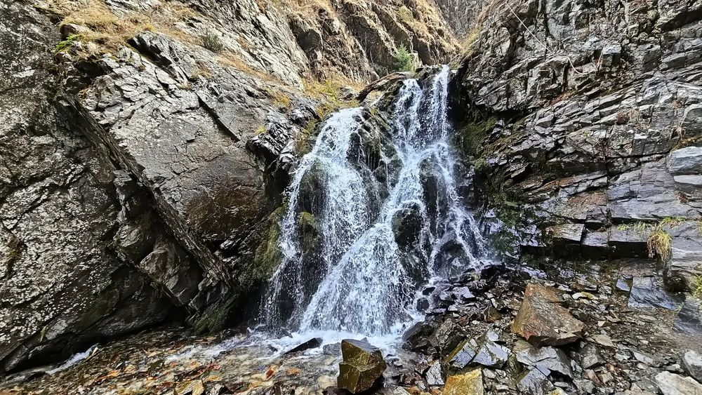 Photograph by Наталья Баранова